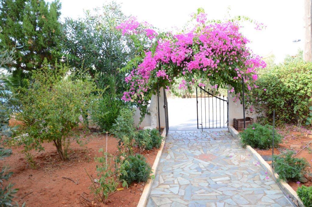Alex Home Apartments Hersonissos  Exterior photo