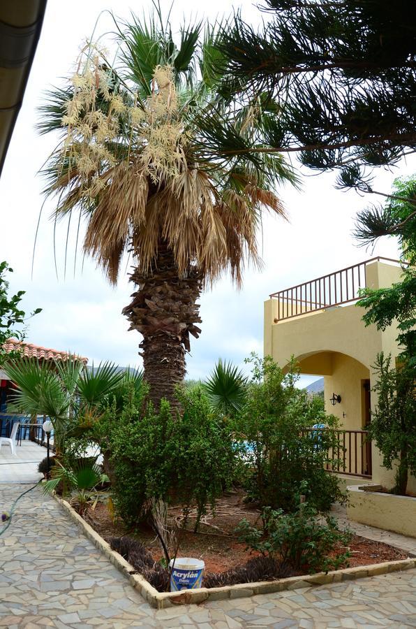 Alex Home Apartments Hersonissos  Exterior photo